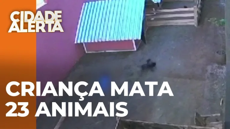 Desastre em hospital veterinário: 23 Animais são mortos por criança de 9 anos