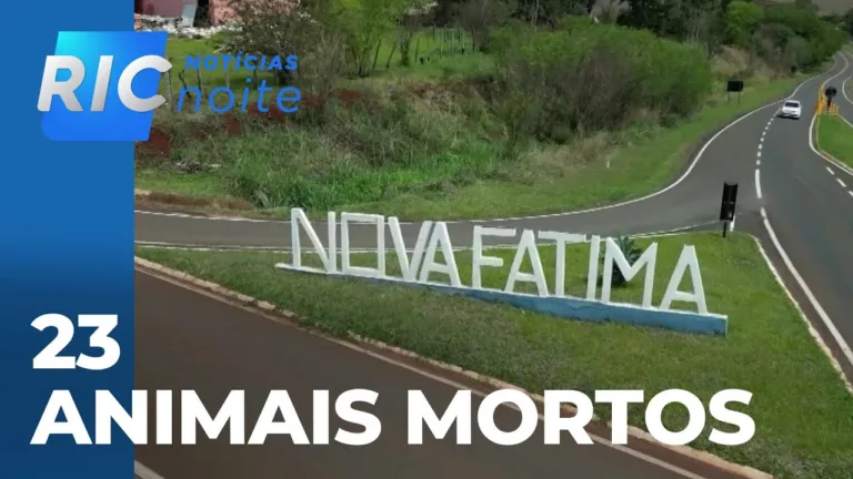 Criança de 9 anos, que matou 23 animais em hospital veterinário, é inclusa na rede de proteção