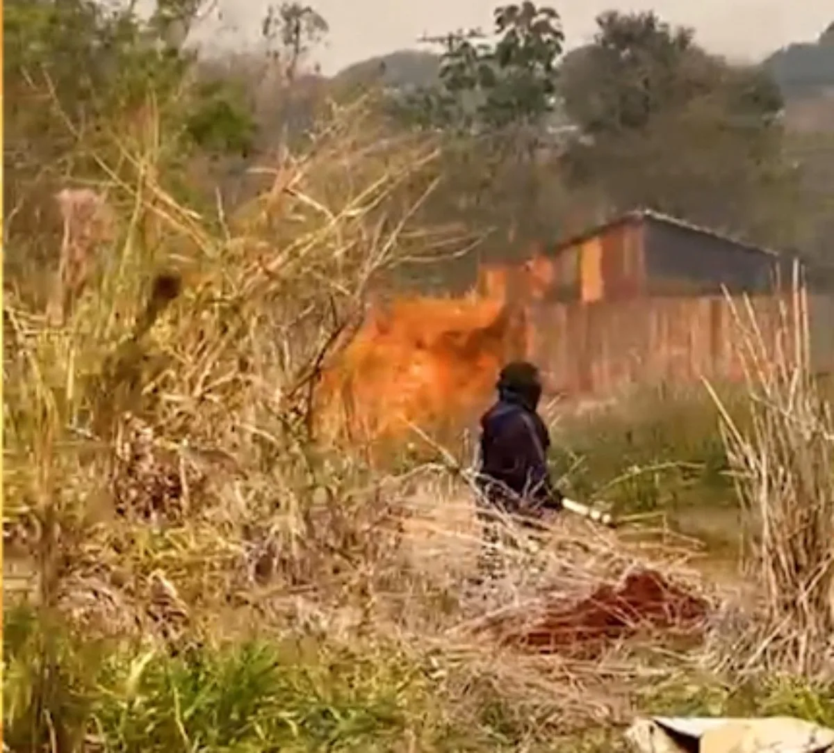 Terra Sem Lei: série expõe violência em conflitos por terras no Oeste do Paraná