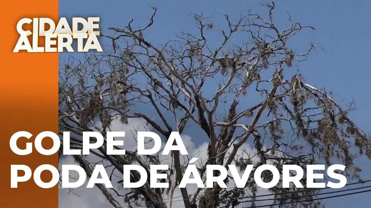 Alerta! Golpe da poda de árvores engana moradores em Maringá