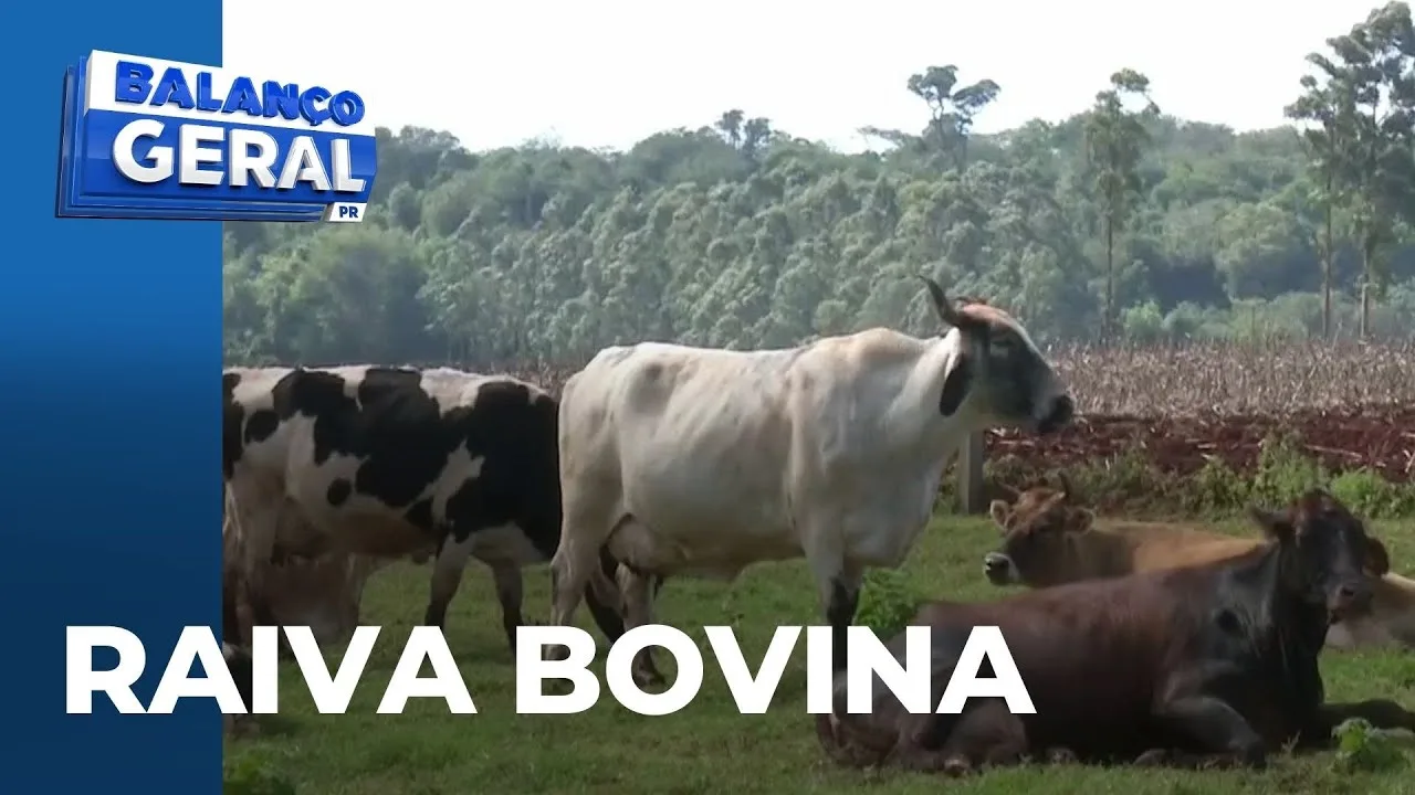 Raiva bovina: Surto preocupa com 108 casos confirmados em Cascavel