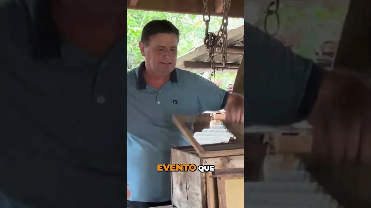 Melhore sua produtividade com pólen #apicultura #soja #mel