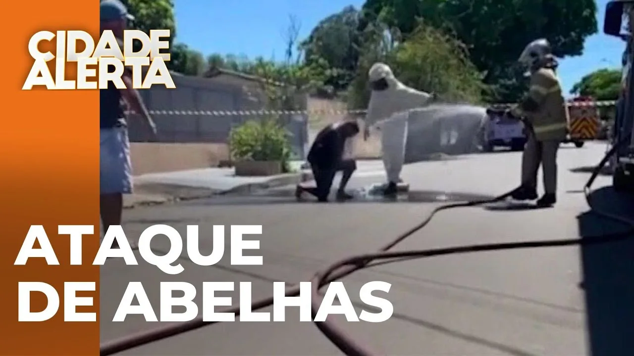 Idoso e neto ficam feridos em ataque de abelhas durante limpeza do quintal em Londrina