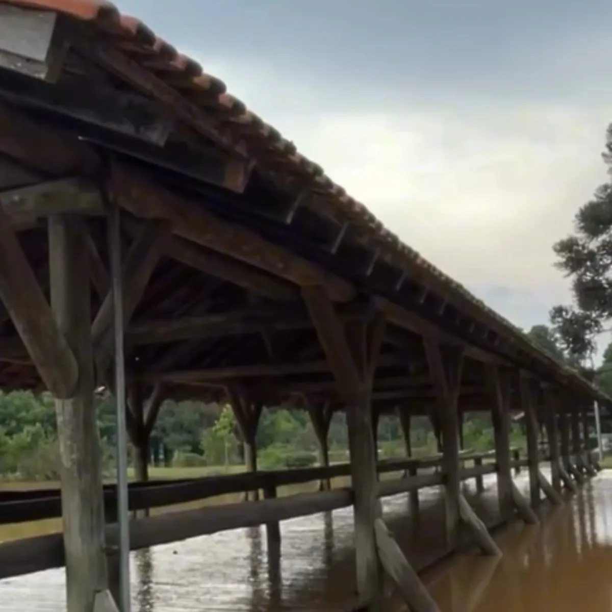 Ponte do Parque Tingui é interditada após inundação causada por chuvas em Curitiba