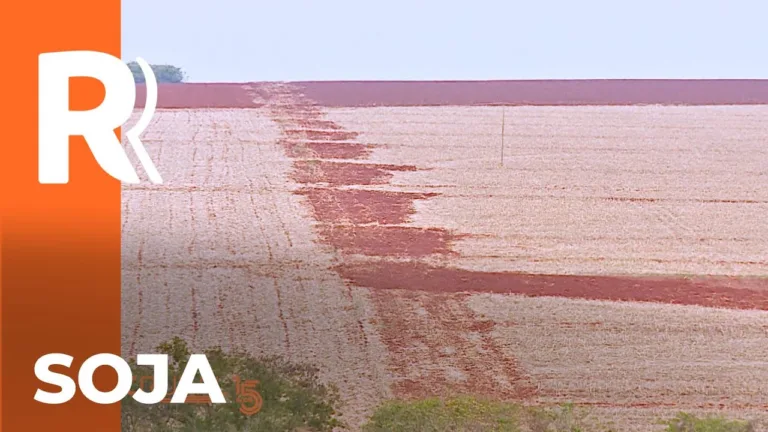 Começa plantio da soja
