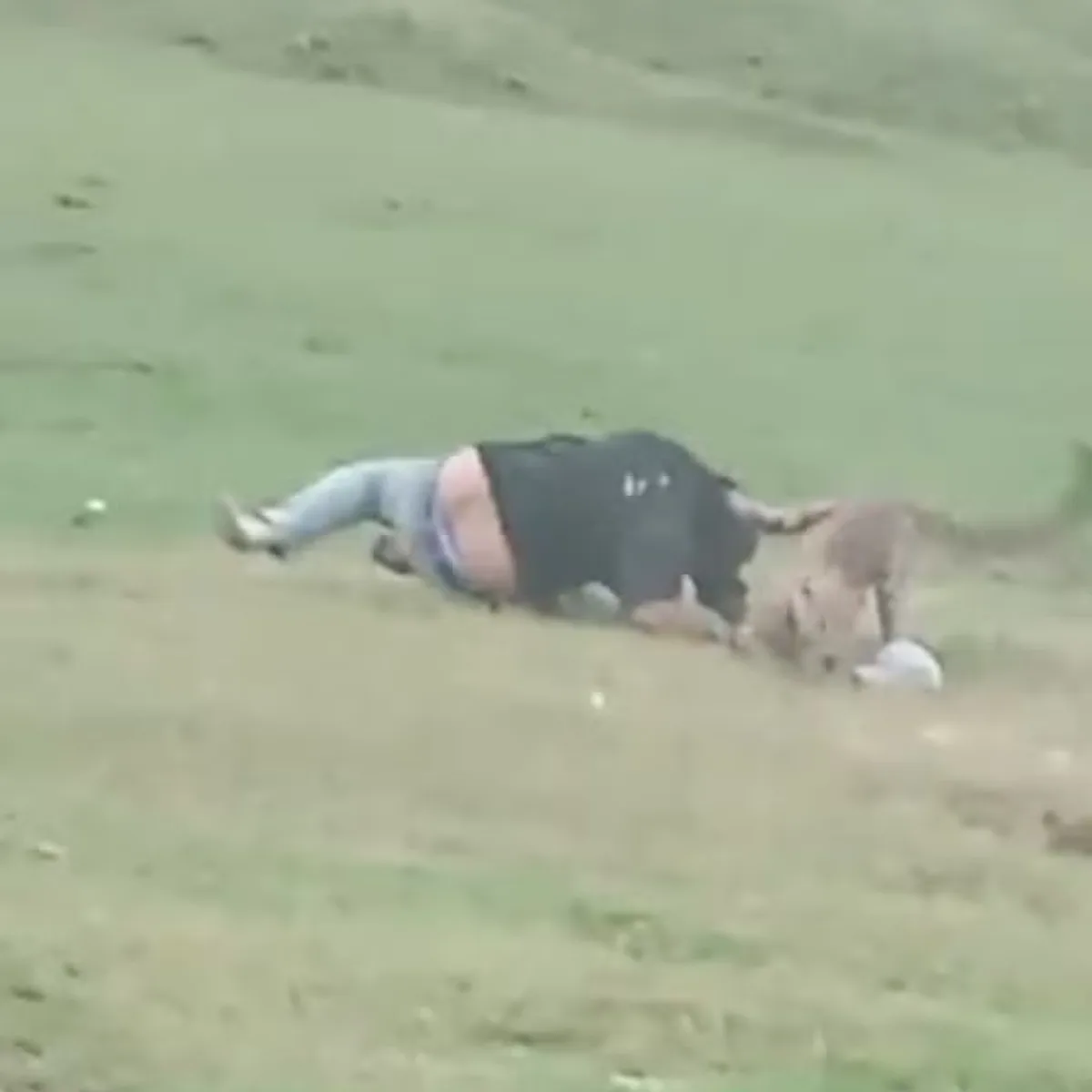 Grupo de amigos é perseguido e atacado por leopardo em parque; vídeo