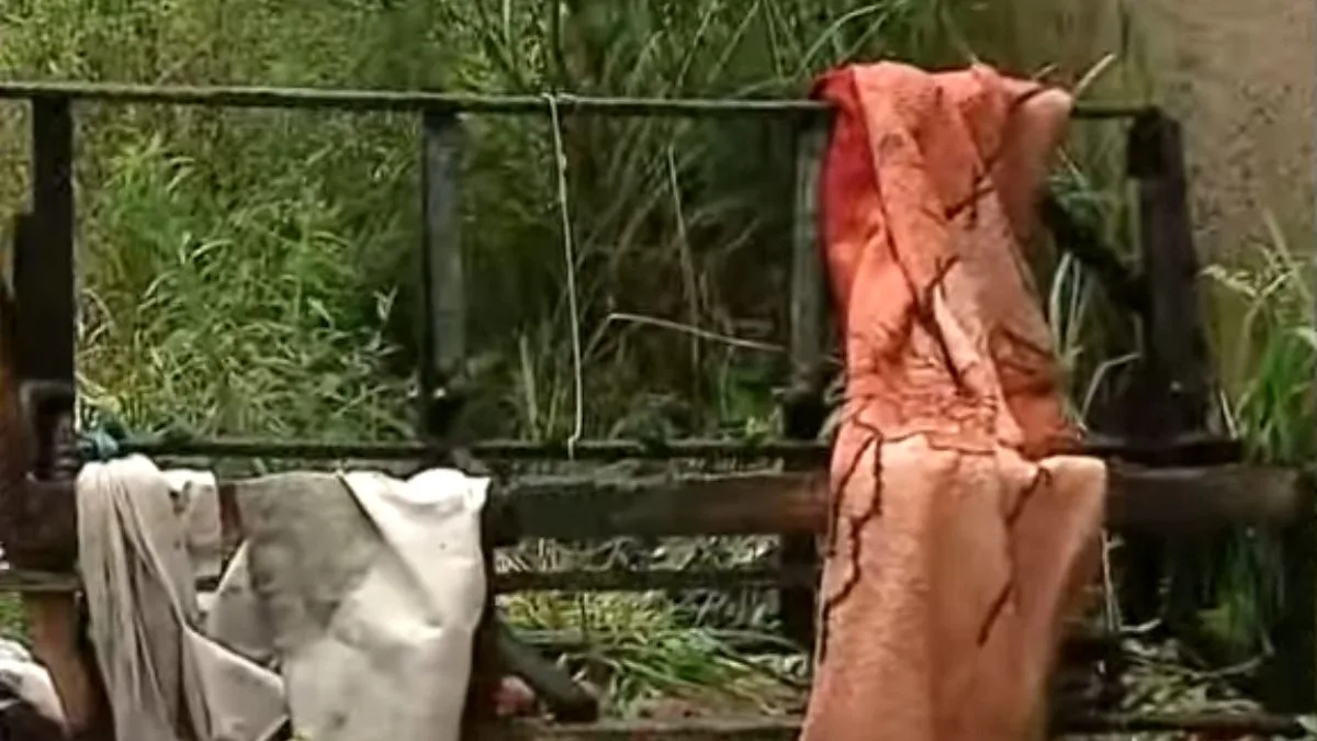 Rapaz desaparecido foi encontrado morto dentro de sofá queimado