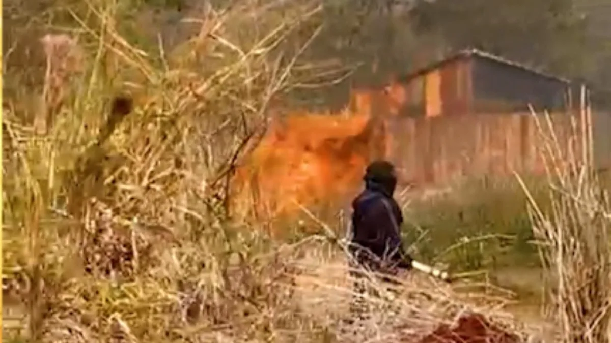 Terra Sem Lei: série expõe violência em conflitos por terras no Oeste do Paraná