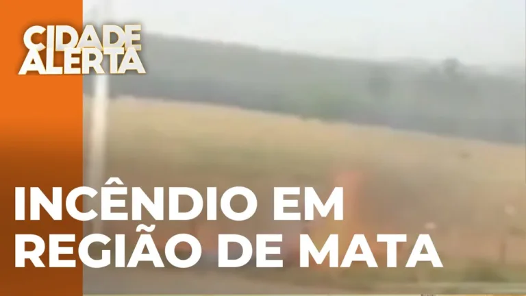 Homem é preso depois de colocar fogo em terreno na região