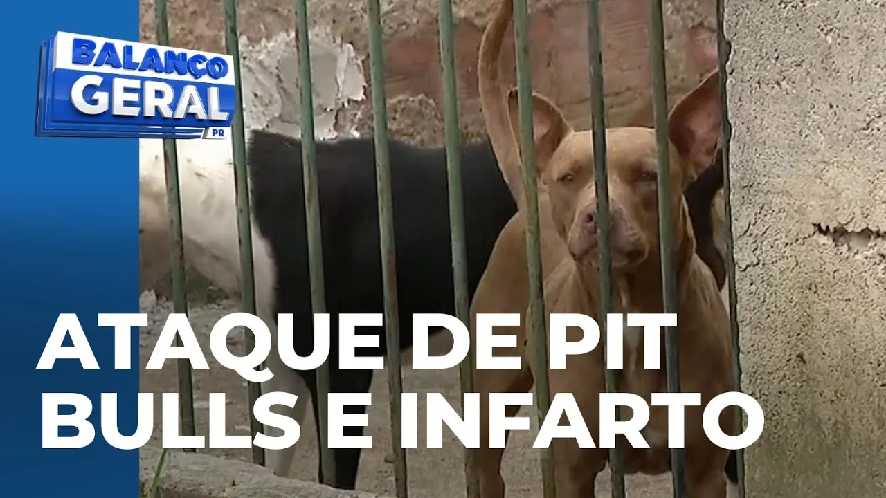 Idosa é atacada por pit bull, homem também é atacado ao socorrer a idosa e sofre infarto