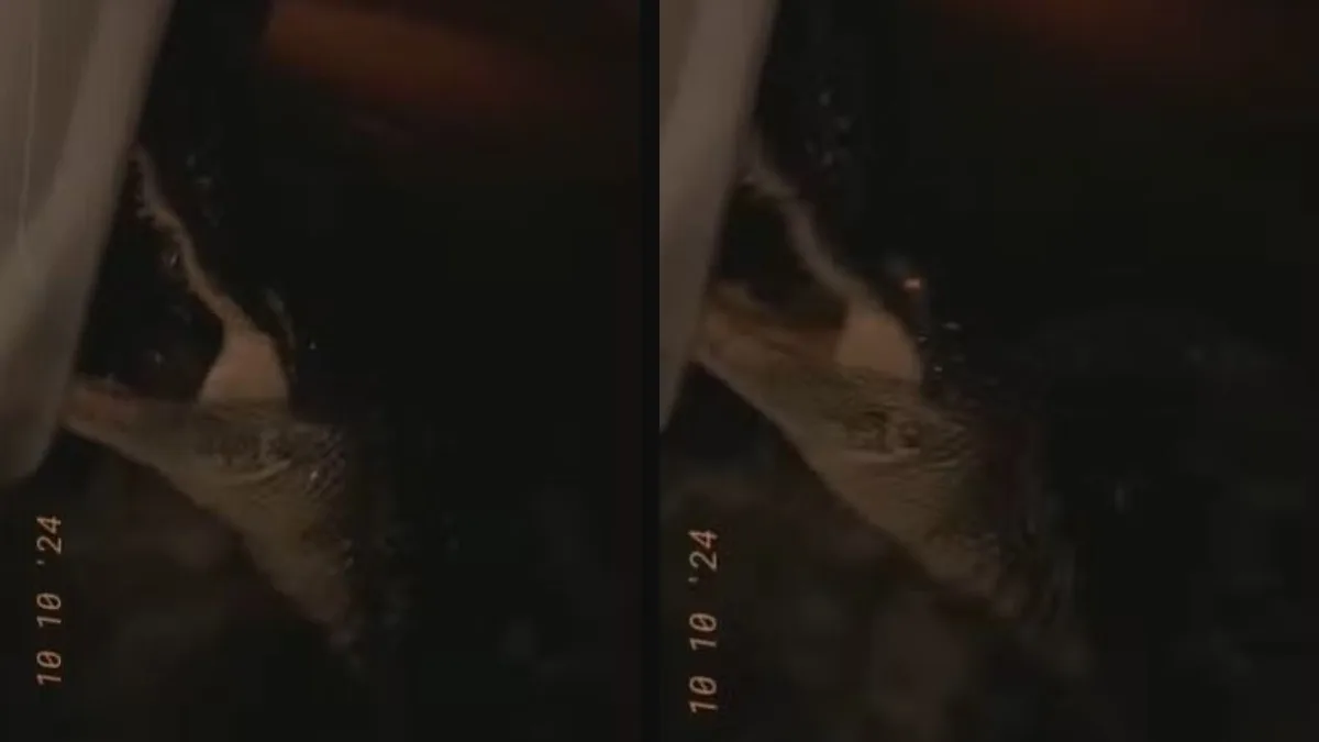 O furacão Milton fez vítimas e deixou estragos