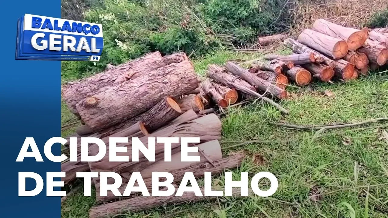 Homem morre após árvore cair sobre ele; idoso de 78 anos trabalhava no corte de eucaliptos
