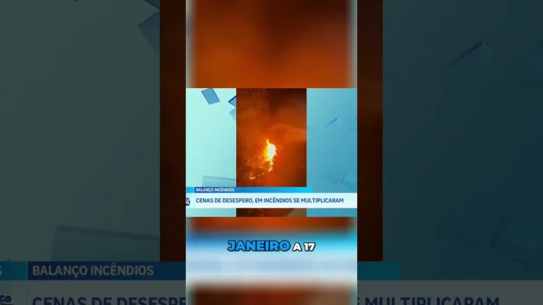 Incêndios se multiplicaram e água da chuva foi contaminada pelas queimadas