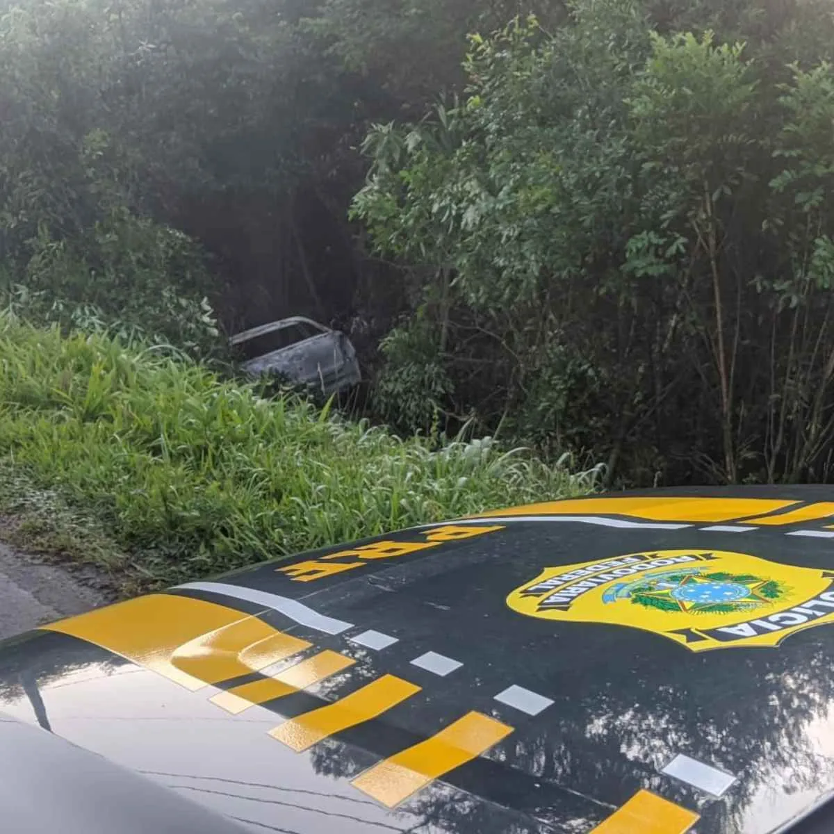 Motorista morre após carro cair em barranco e pegar fogo em rodovia do Paraná