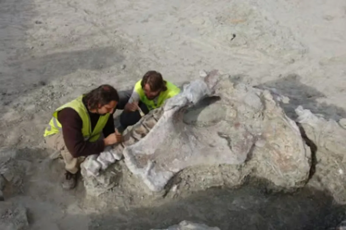 Fóssil de dinossauro é descoberto na Espanha