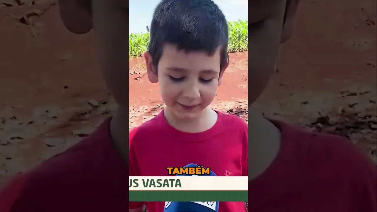 A Tradição agrícola de 8 décadas #rural #tradição