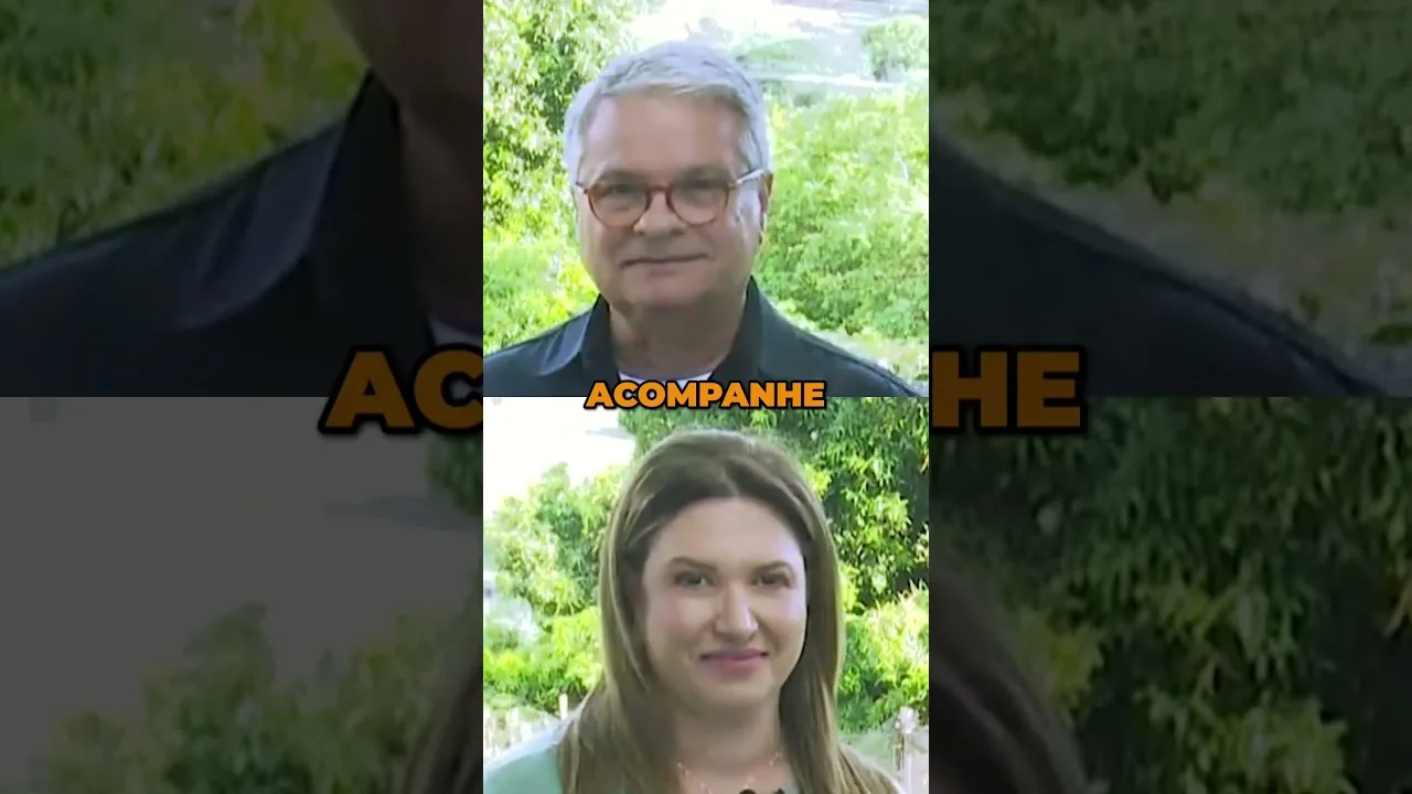 Cuidando das Abelhas: O condomínio urbano de Espécies sem ferrão #abelhas #Cascavel