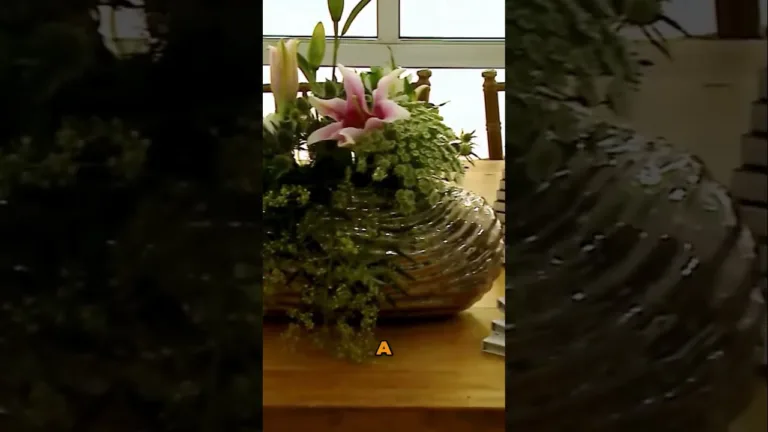 O Futuro dos pequenos agricultores #rural #agricultura