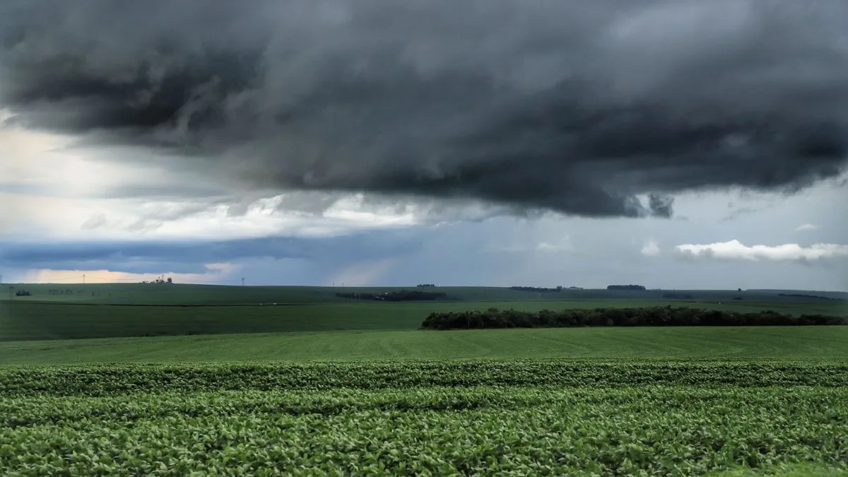 Previsão do tempo para Curitiba amanhã (14/09/2024), segundo o Climatempo