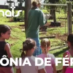 Colônia de férias: atividades divertidas para crianças nas férias escolares