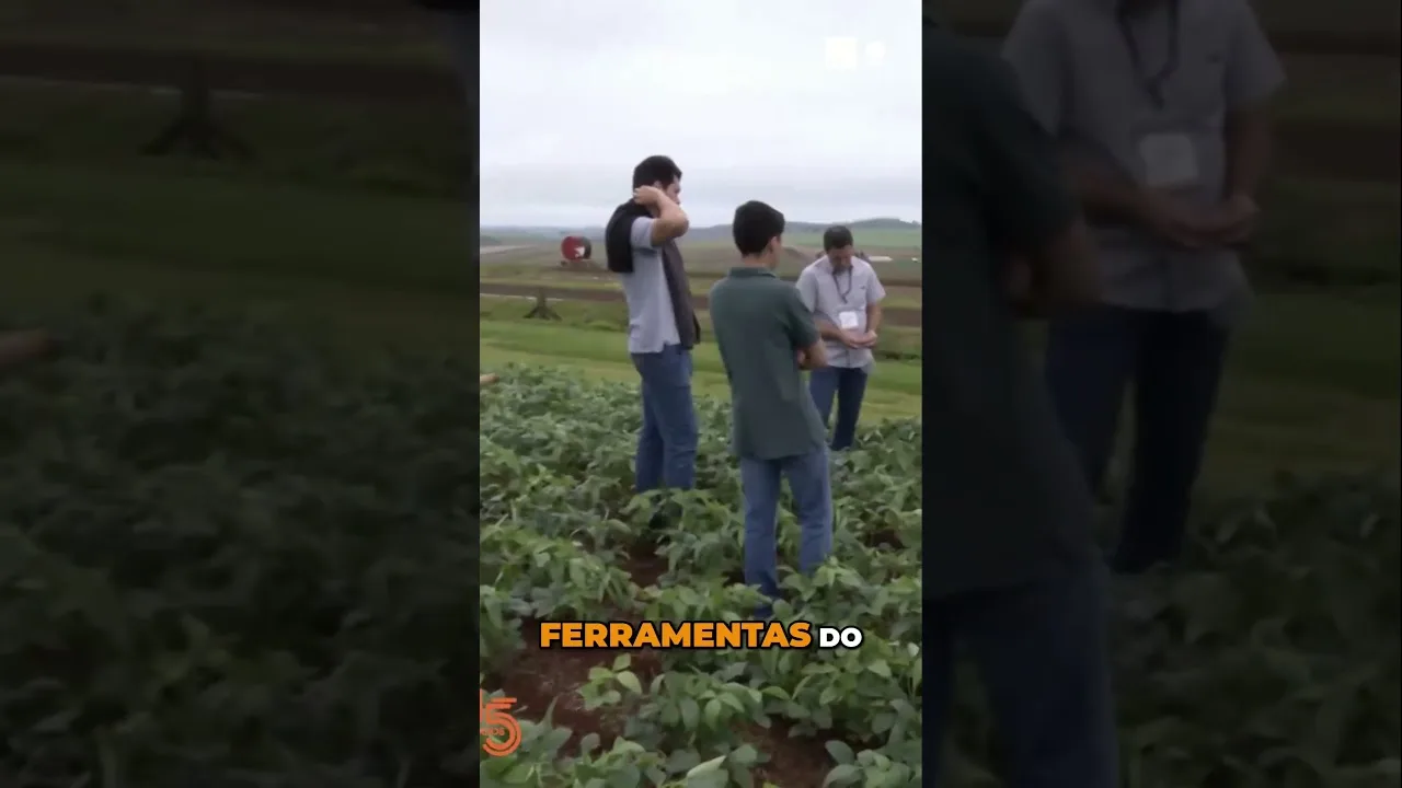 Cuidados Essenciais na Soja #praga #soja #educação