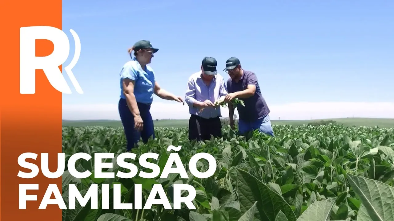 Sucessão familiar de floresta bem construída e que já está na terceira geração; conheça