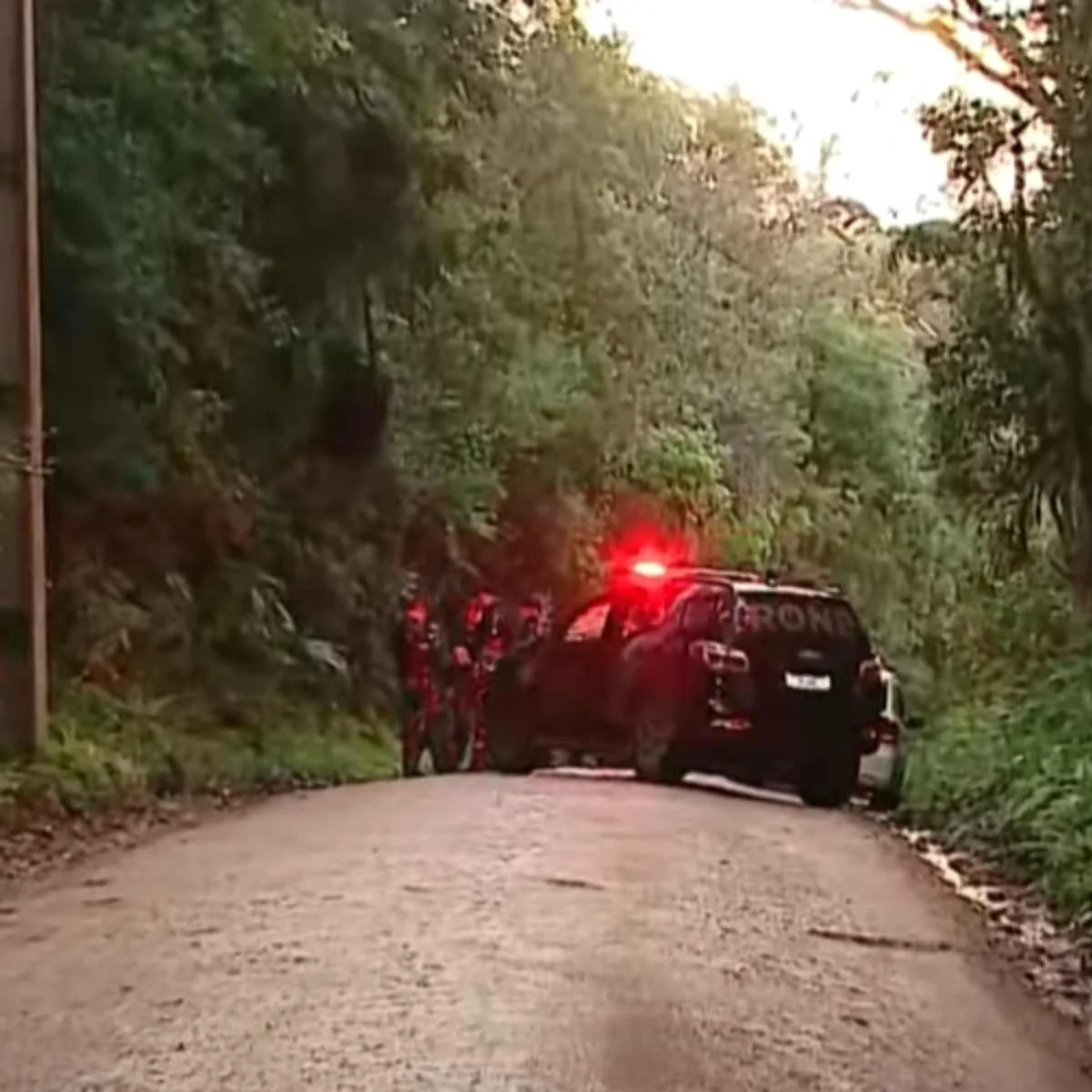 Homem morre em confronto com a polícia em região de mata na Grande Curitiba