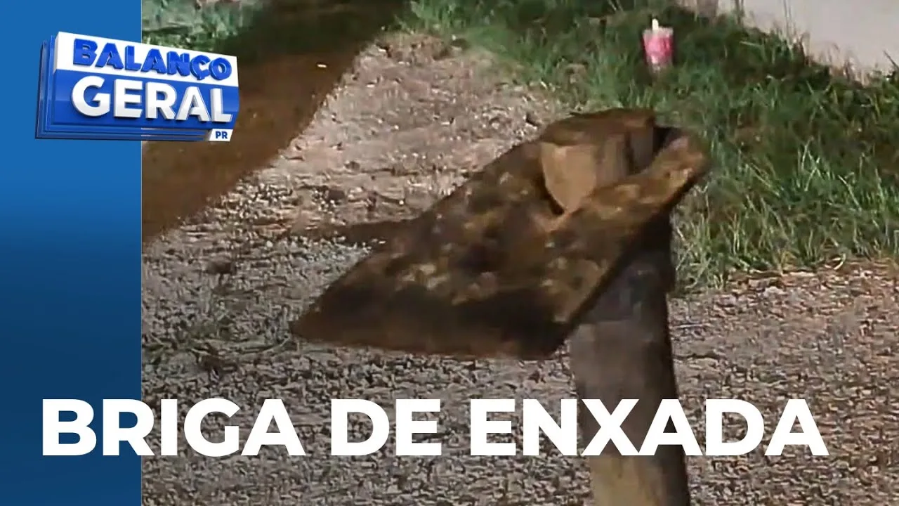 Amigos discutem e um dá uma enxadada no outro, que foi socorrido em estado grave