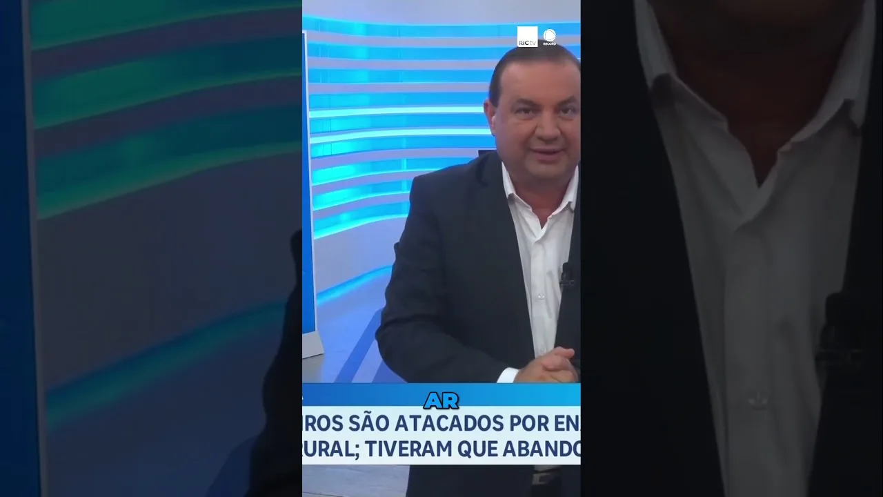 Trilheiros abandonam suas motos e fogem após ataque de enxame de abelhas
