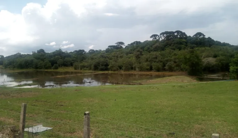 Área contaminada por Diesel.