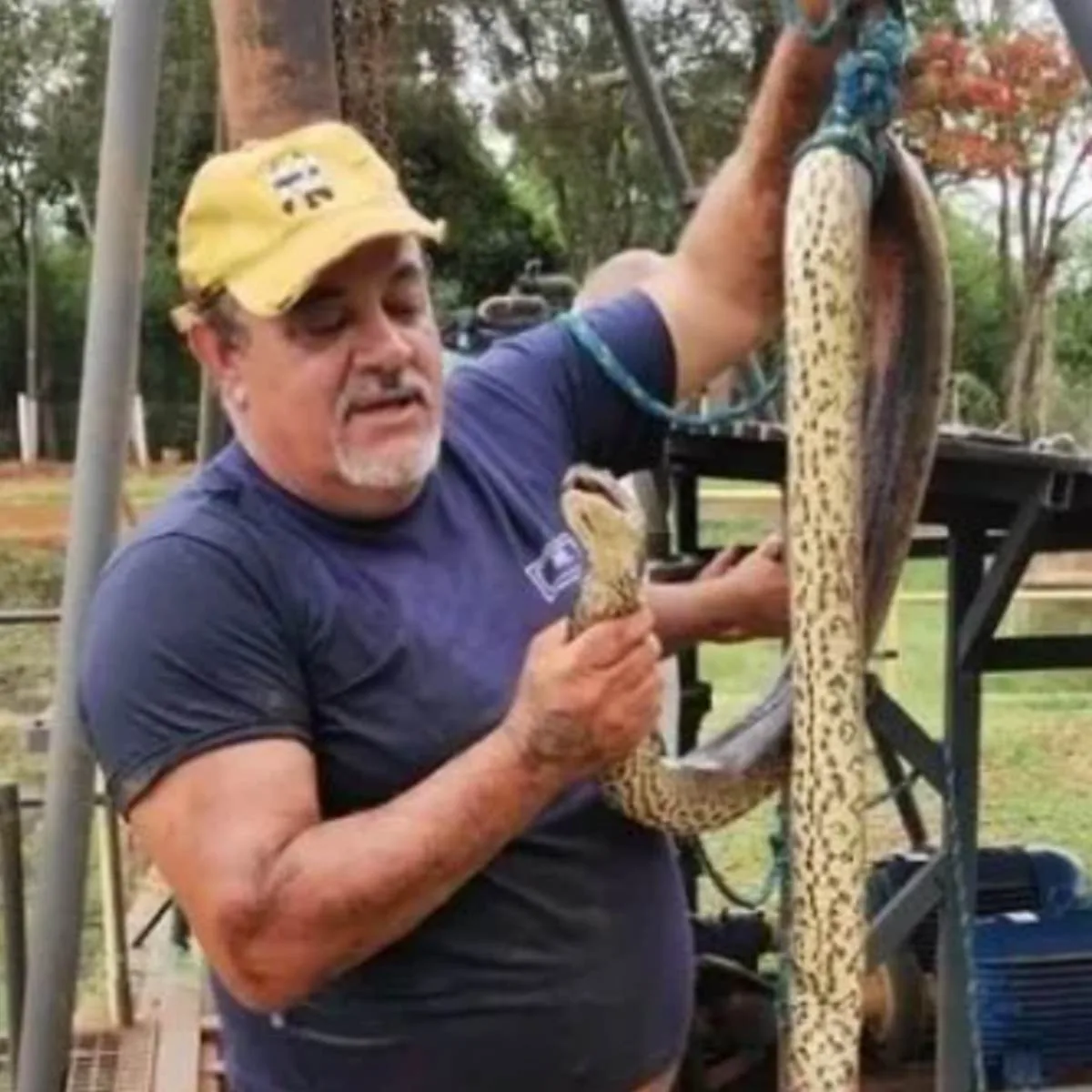 Sucuri entra em tubulação de água e interrompe abastecimento de cidade