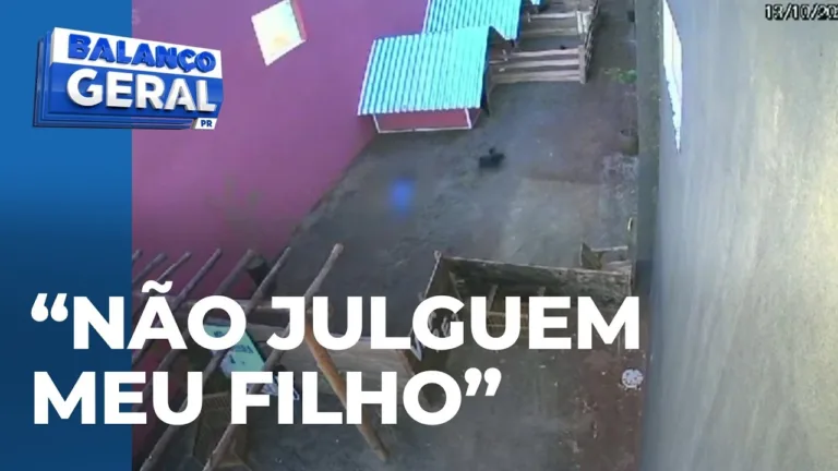 Mãe do garoto que matou 23 animais, revela que a criança estava apanhando na escola