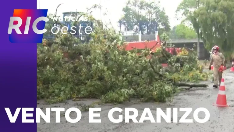 Tempestade: defesa civil faz atendimento em cascavel, após chuva com vento e granizo