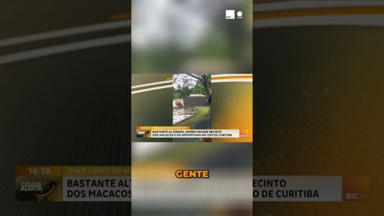Homem invade o recinto dos macacos e dos hipopótamos no zoológico de Curitiba