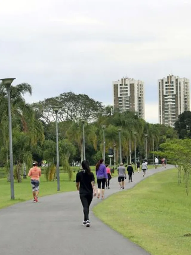 atividade-ao-ar-livre-curitiba