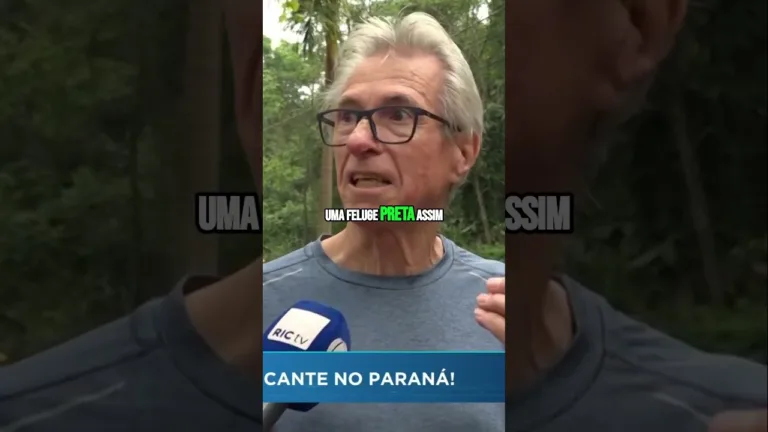 Semana é marcada pelos incêndios ambientais e seus impactos na nossa saúde