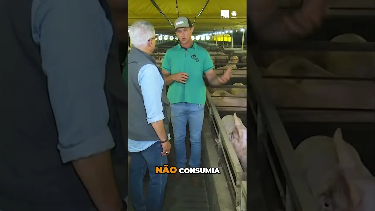 Como melhorar a saúde animal  #granja #animal #saúde