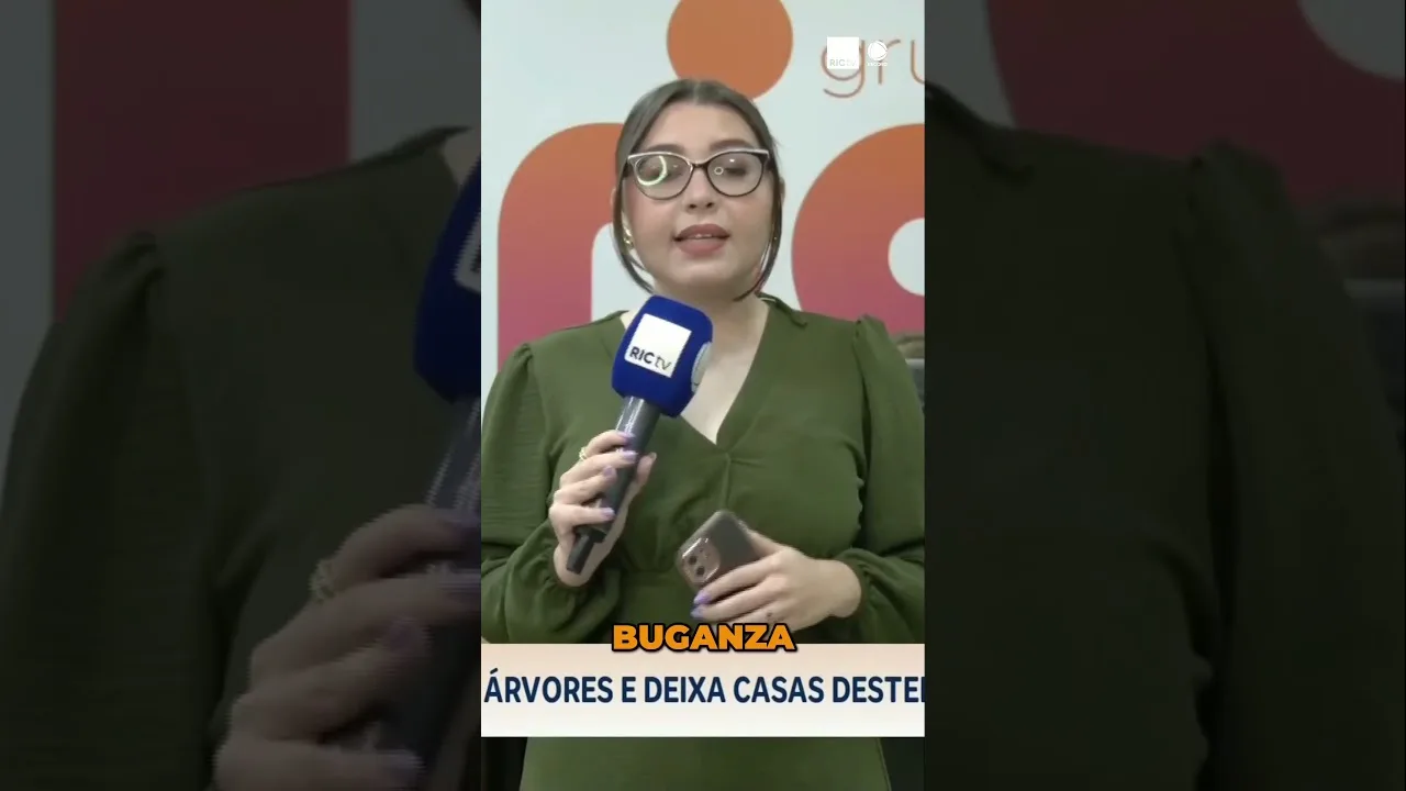 Vendaval derruba árvores e deixa casas destelhadas na região