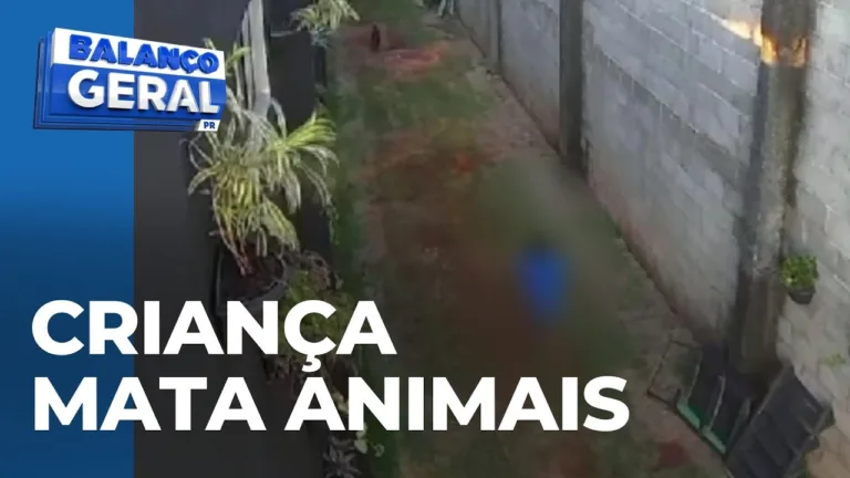 Criança de 9 anos mata 23 animais em hospital veterinário de Nova Fátima