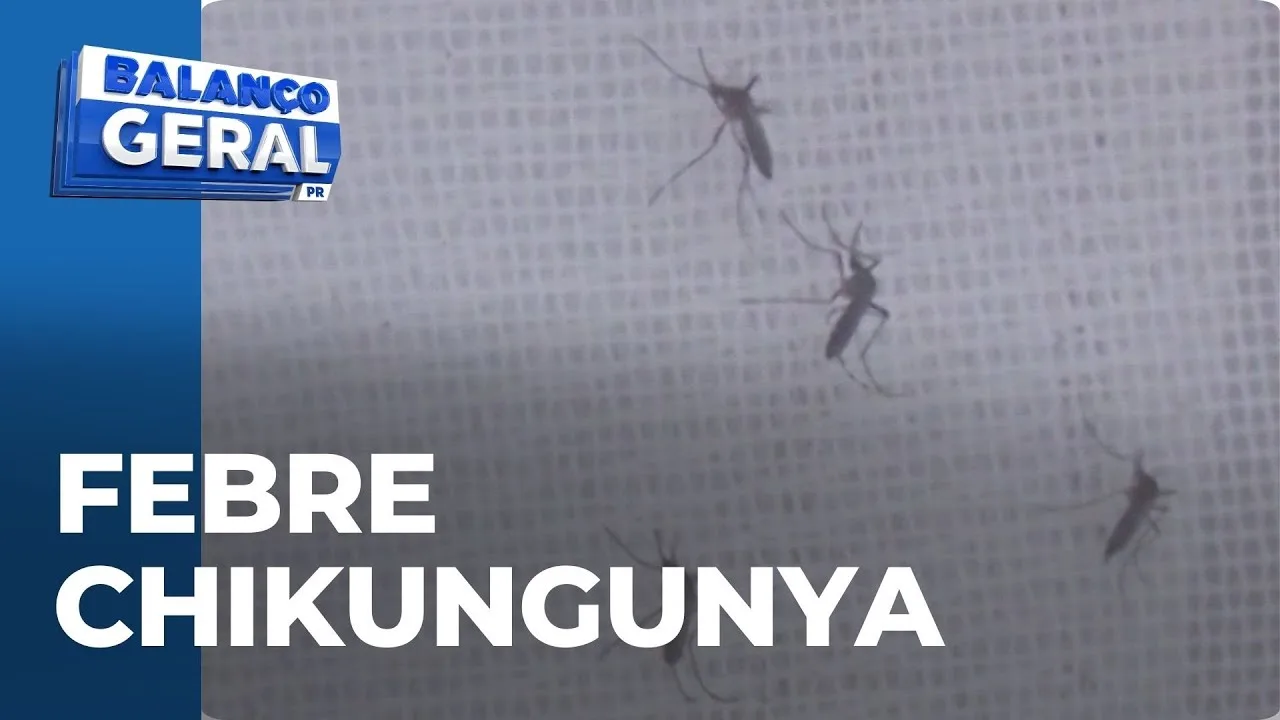 Febre Chikungunya: Cascavel pede fumacê para combater mosquitos