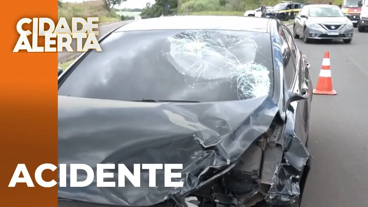 Motociclista perde a vida na BR - 369 em Ibiporã