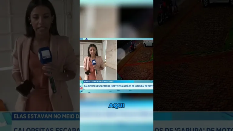 Calopsitas escapam da morte pelas mãos de homem na garupa de uma moto