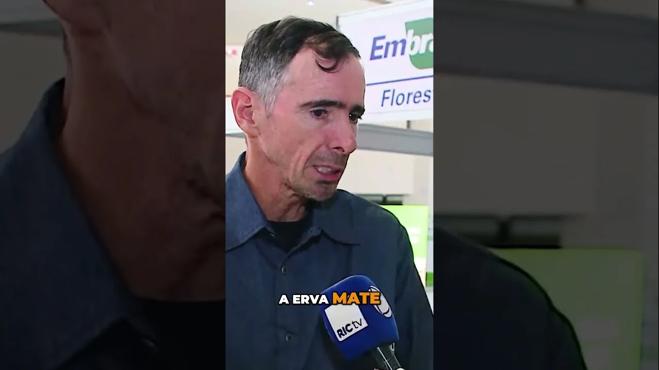 O potencial da erva-mate no mercado global #ervamate #Paraná #economia