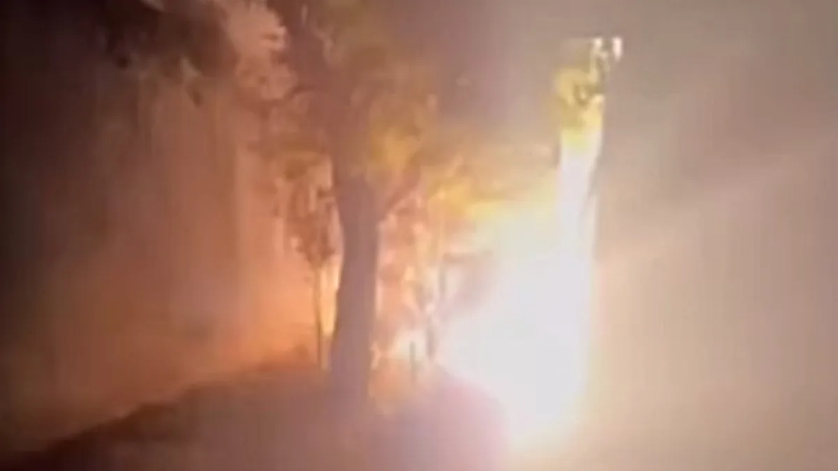 Uma jovem que usou bombinhas para espantar gatos está sendo investigada por maus tratos a animais. A jovem, que é Miss Araucária, gravou um vídeo do momento em que atira o artefato no local onde ela afirma que estão vários gatos e publicou nas redes sociais. A postagem gerou polêmica e chegou até o delegado e deputado federal Matheus Laiola, que promete que o ato não ficará impune.