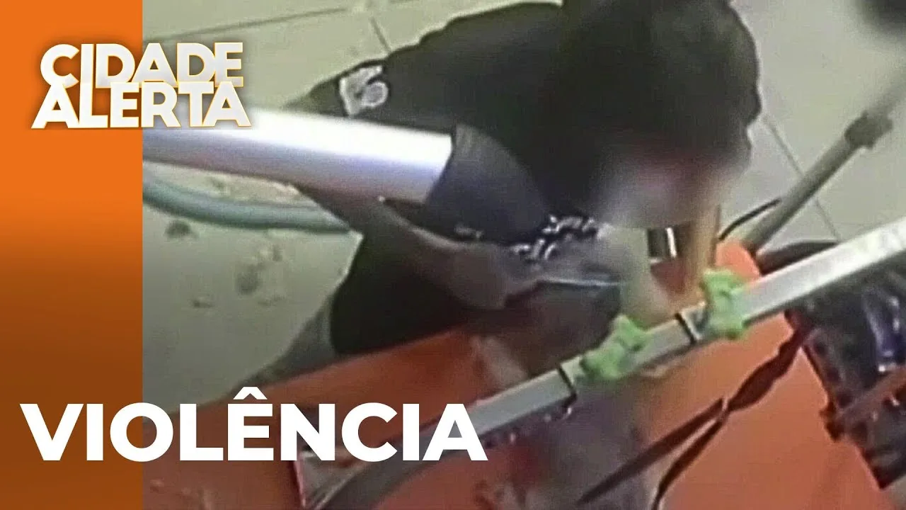 Cachorra morre em pet shop, após sofrer trauma na cabeça; funcionária agiu com violência