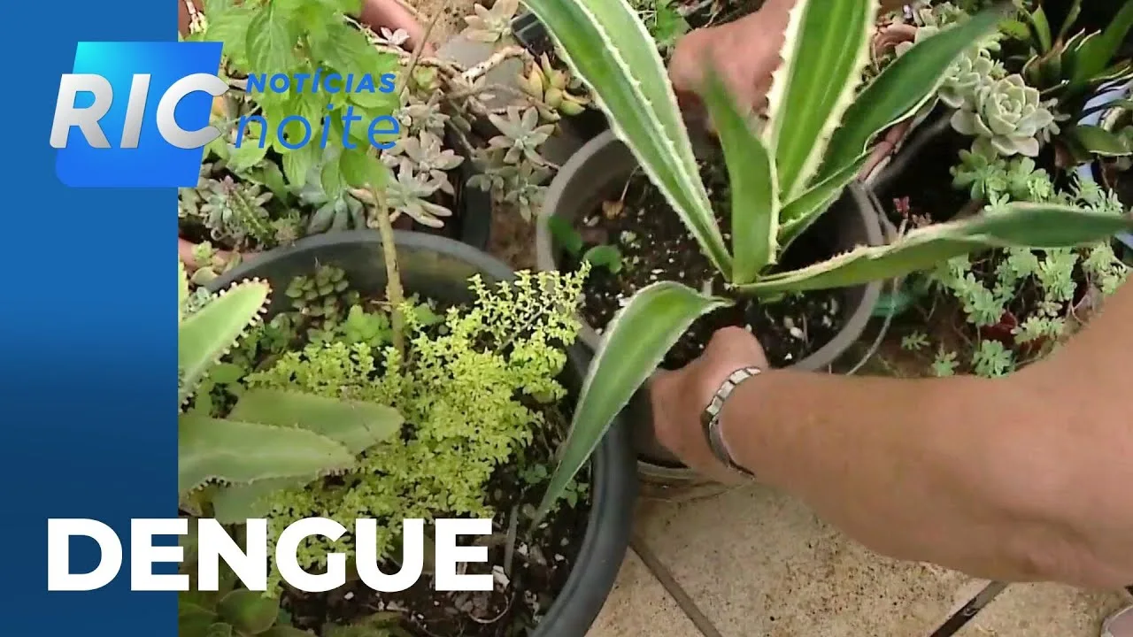 Prefeitura conta com a colaboração de moradores, no combate à dengue na capital