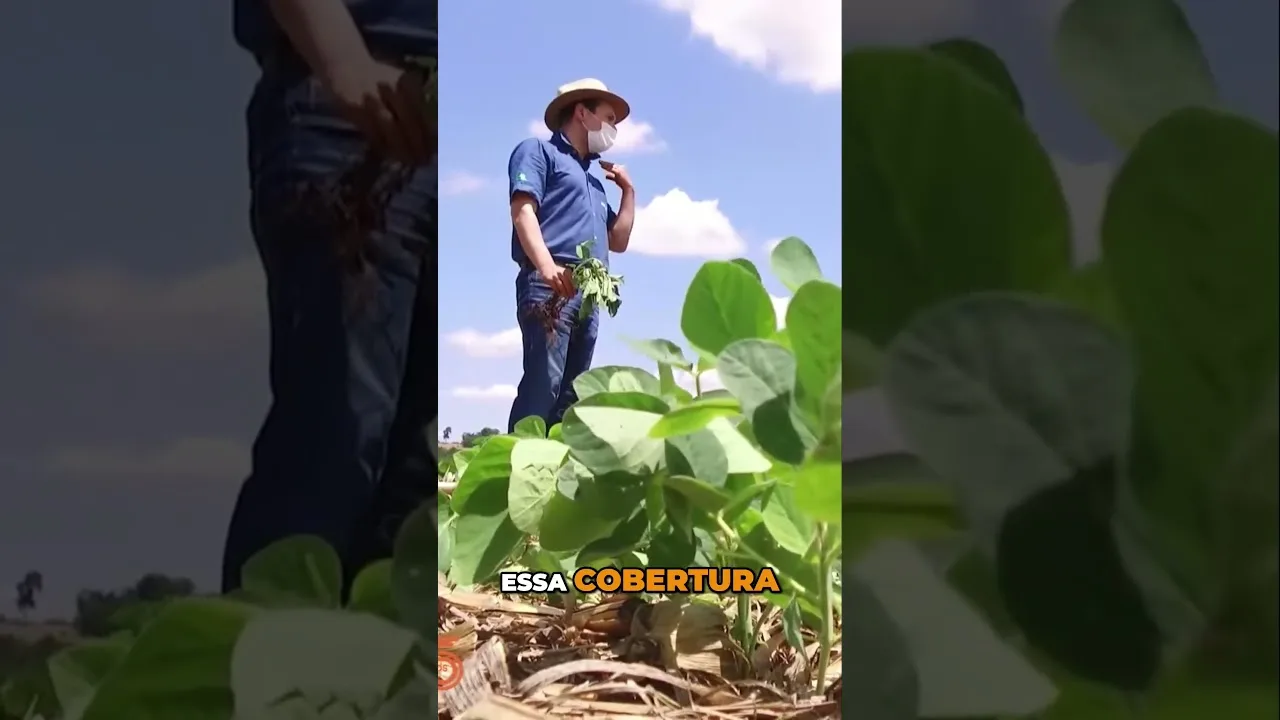 Como a cobertura do solo maximiza a infiltração de água #agua #solo