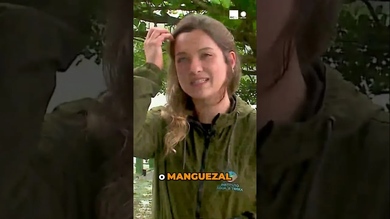 A importância dos manguezais #natureza #manguezais