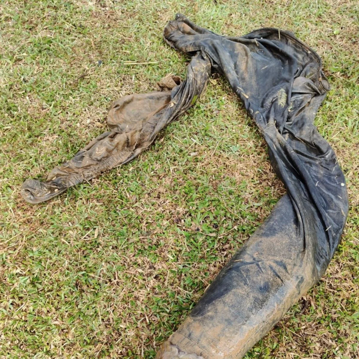 Moradores veem corpo boiando na água e Bombeiros fazem resgate no Paraná