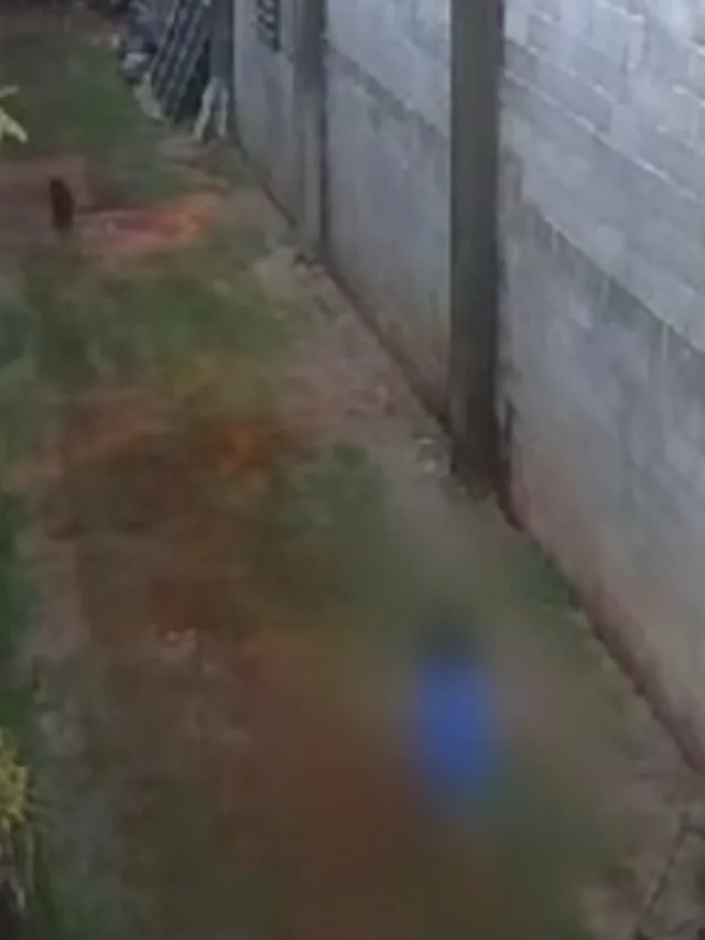 Criança que matou 23 animais no PR será acompanhada por especialistas